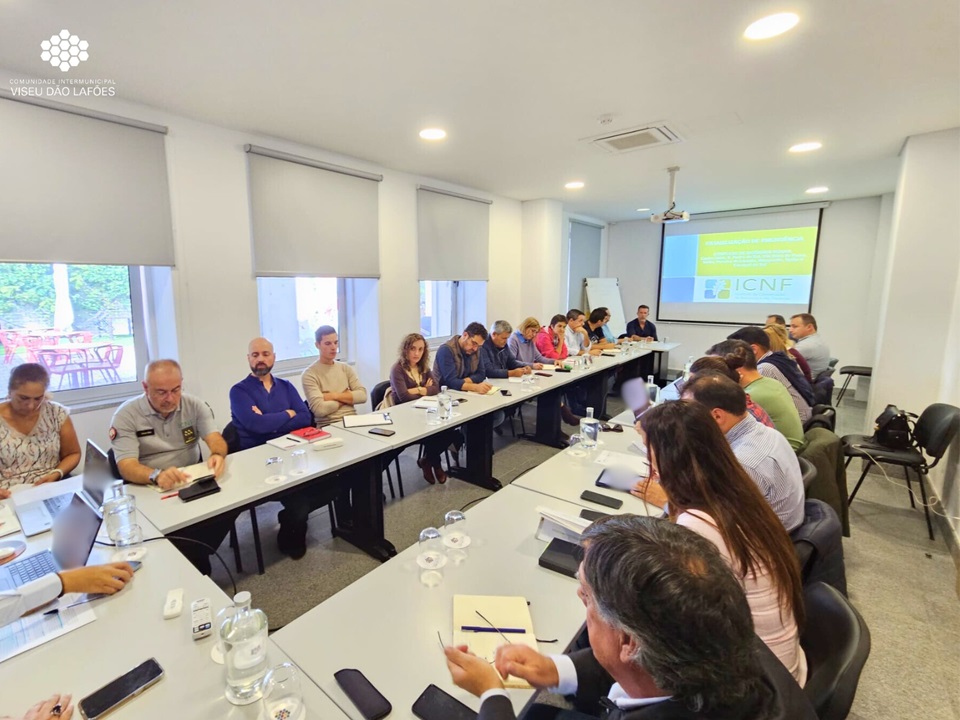 Reunião cim incêndios