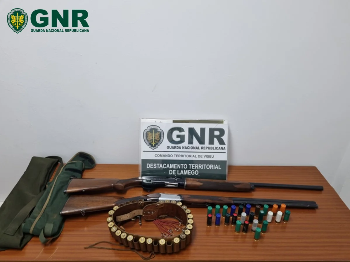 Gnr Viseu Apreensão