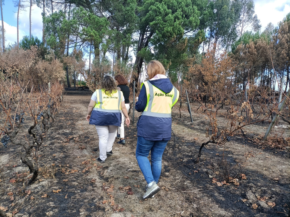 Nelas incêndios