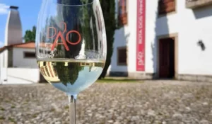 Solar vinho do dão