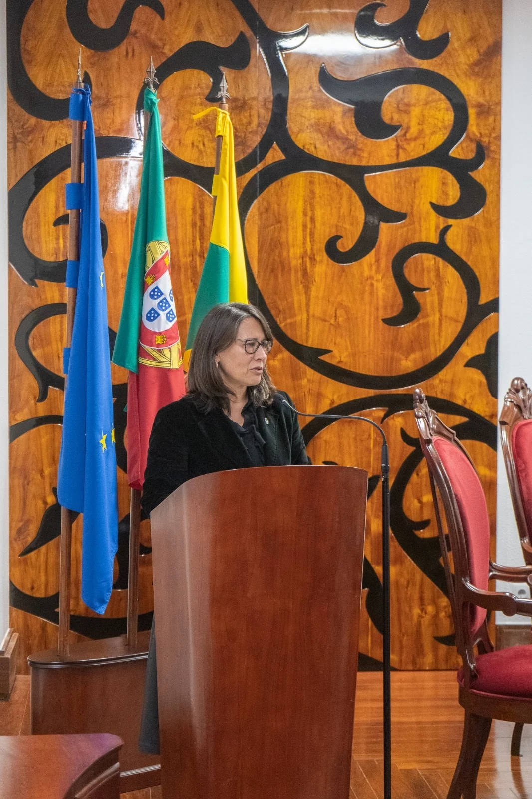 carla antunes borges