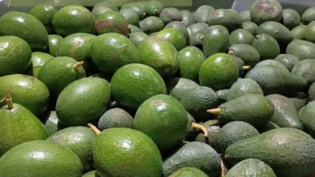 Fruta Asae