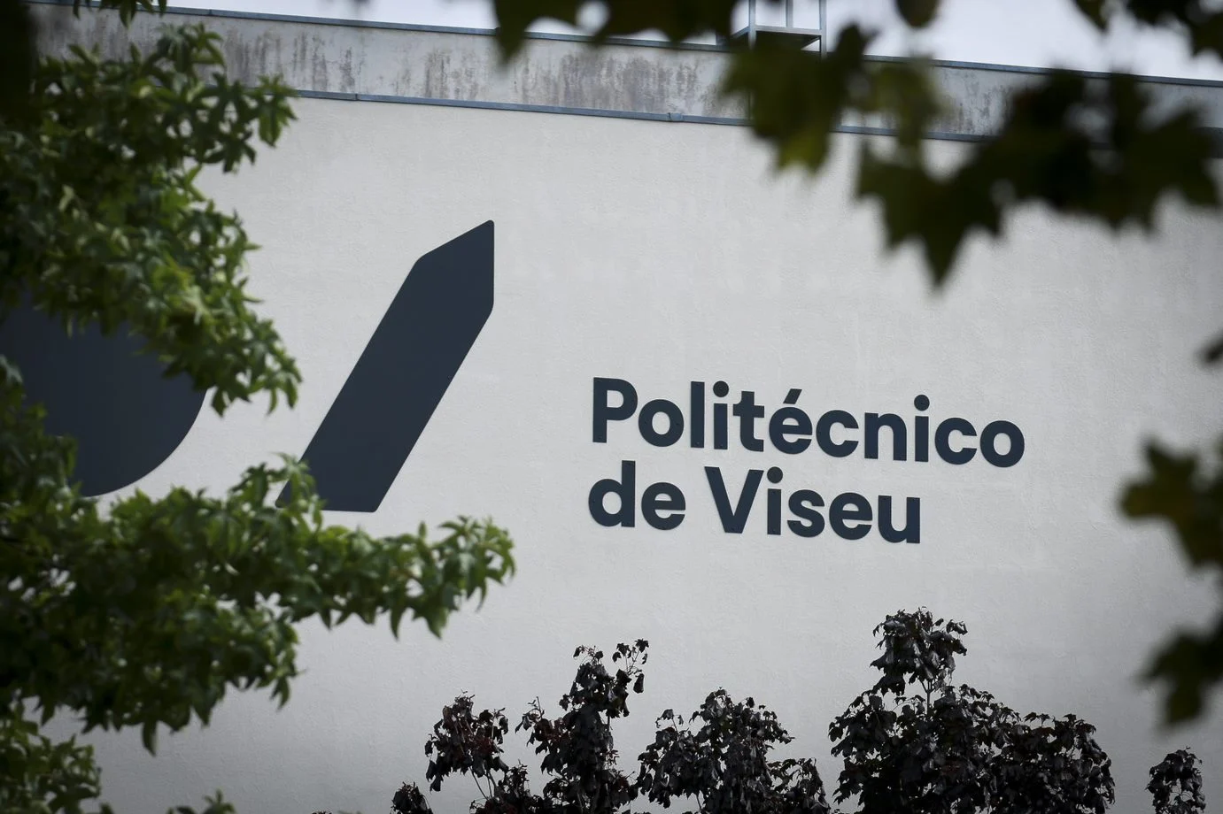 Politecnico