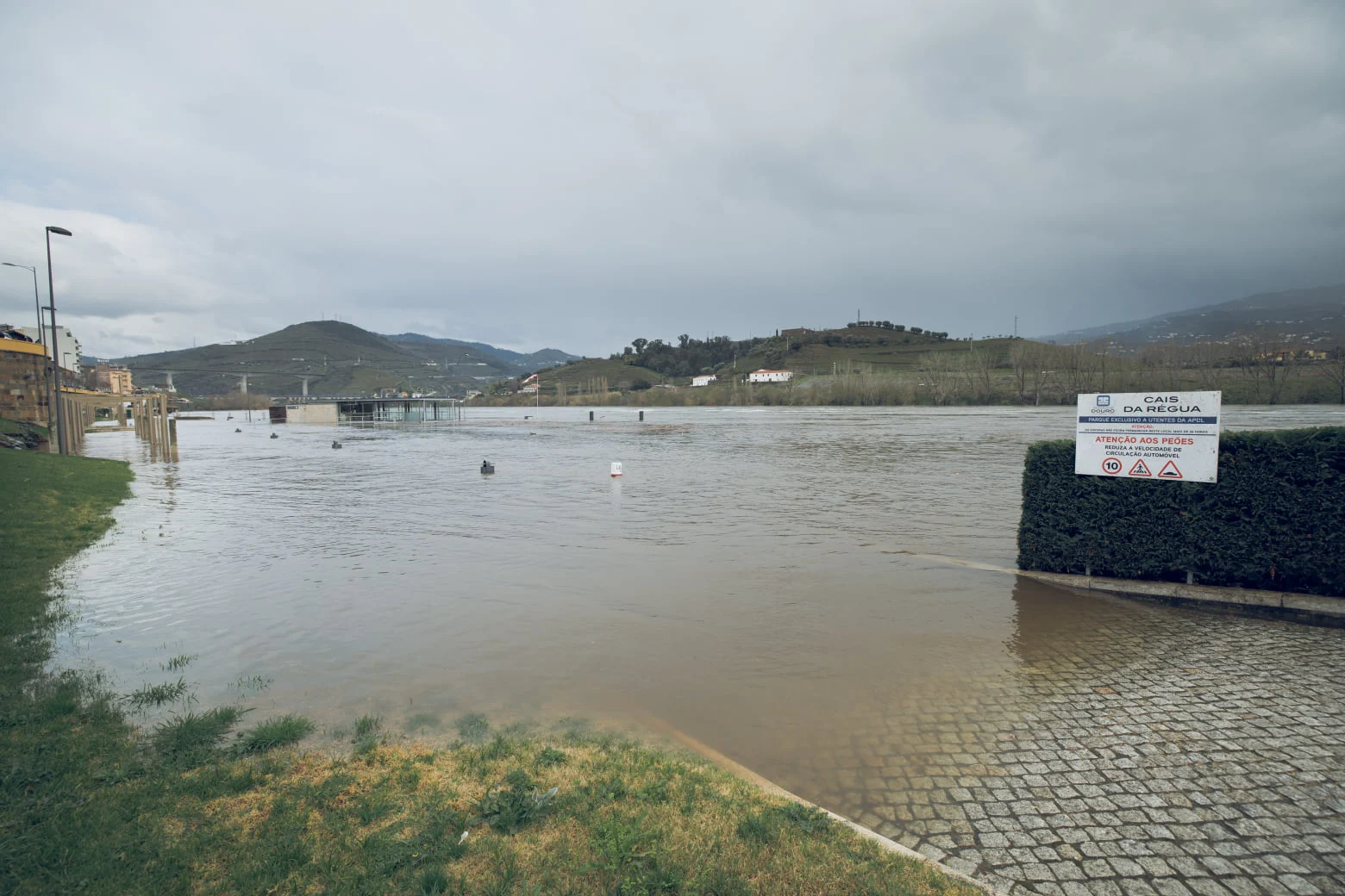 Régua Douro Caudal