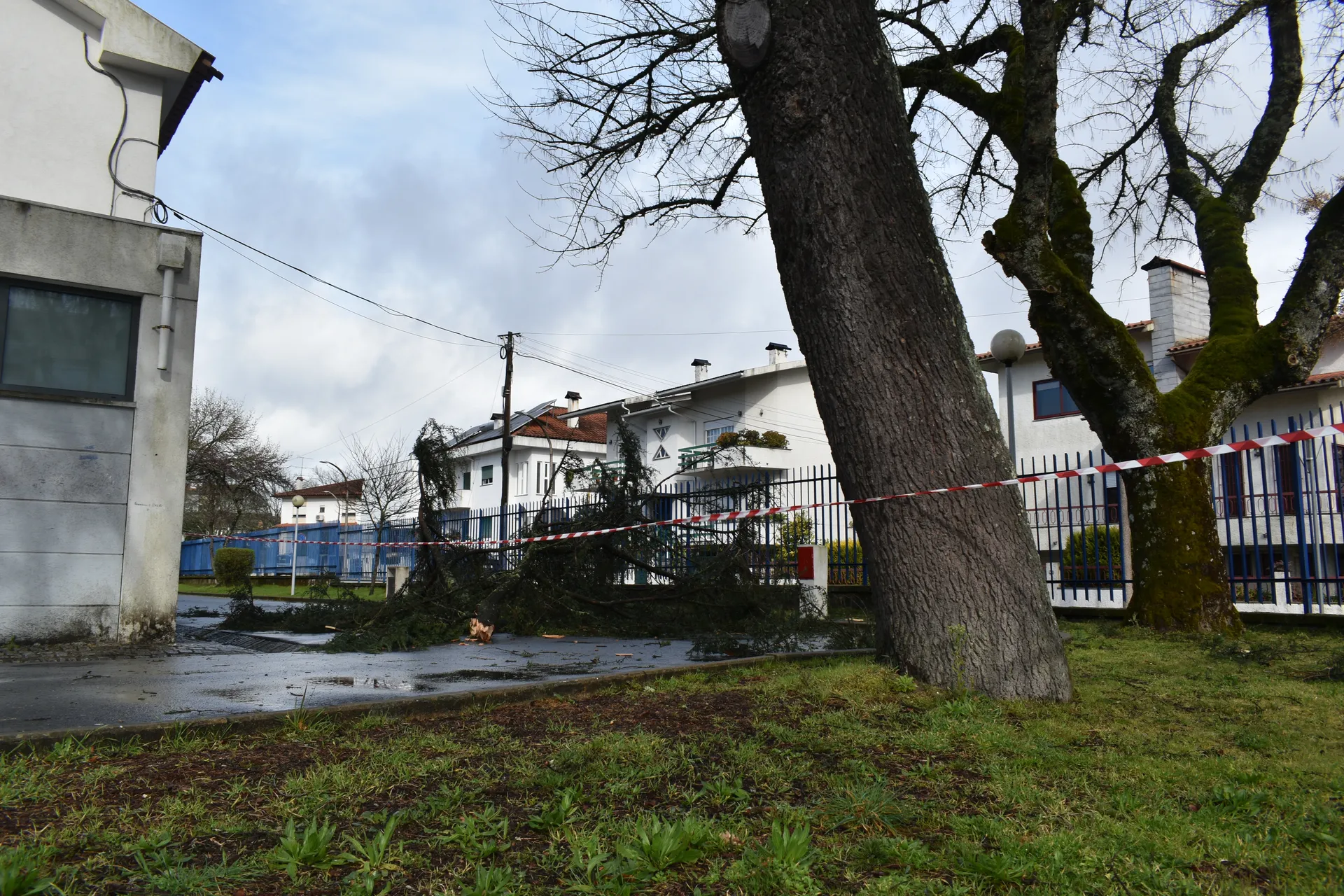 Escola Grão Vasco, Viseu