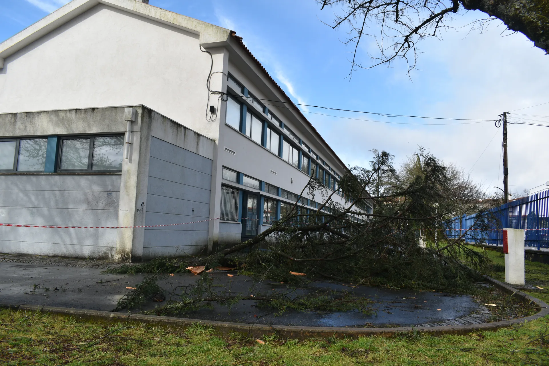 Escola Grão Vasco, Viseu