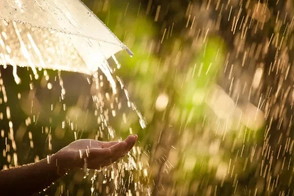 Chuva 2222