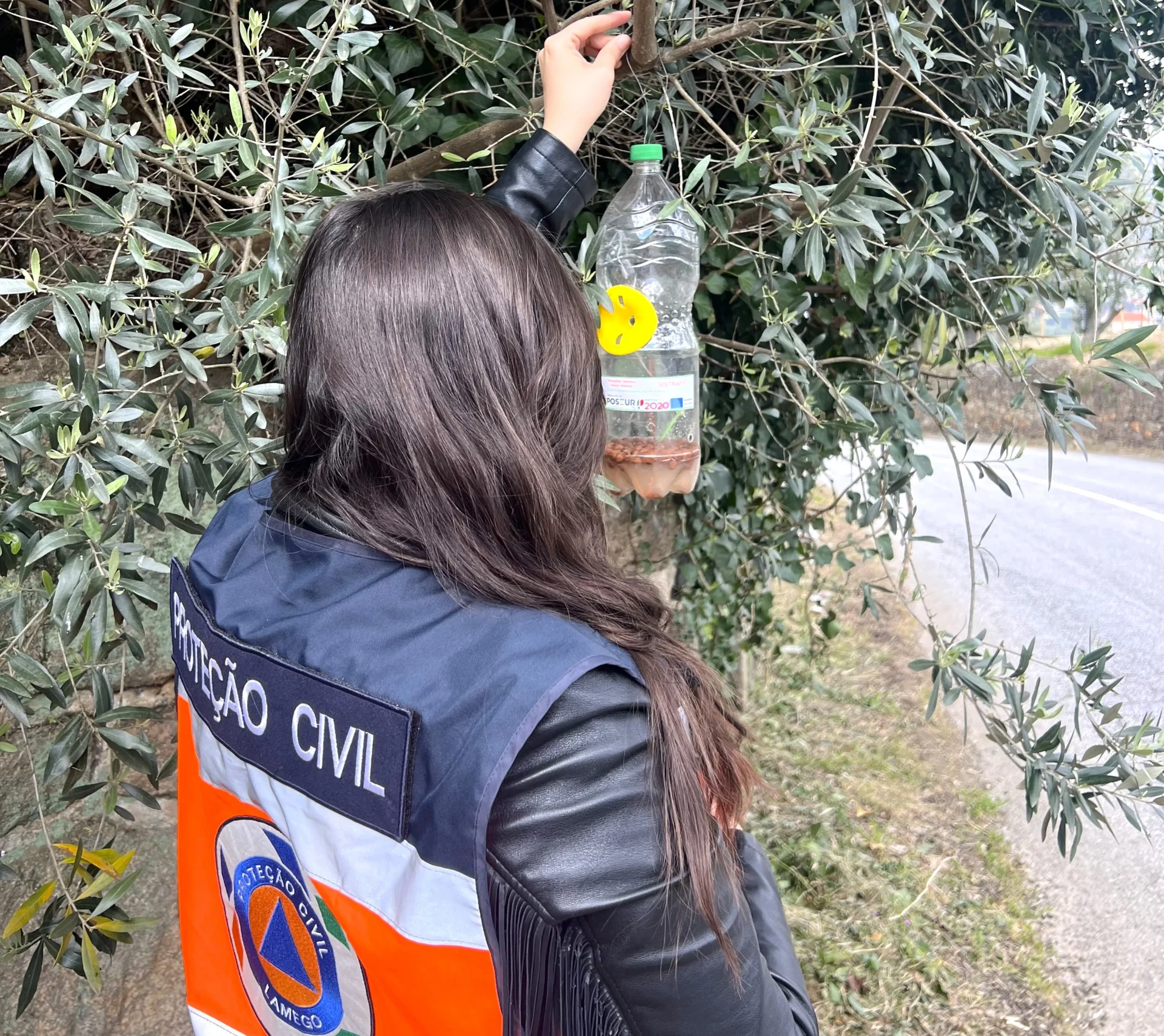 Combate Vespa Asiatica Abril2025