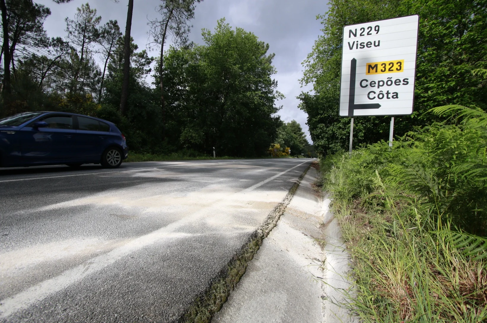 En 229