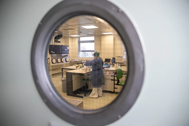 Investigadores