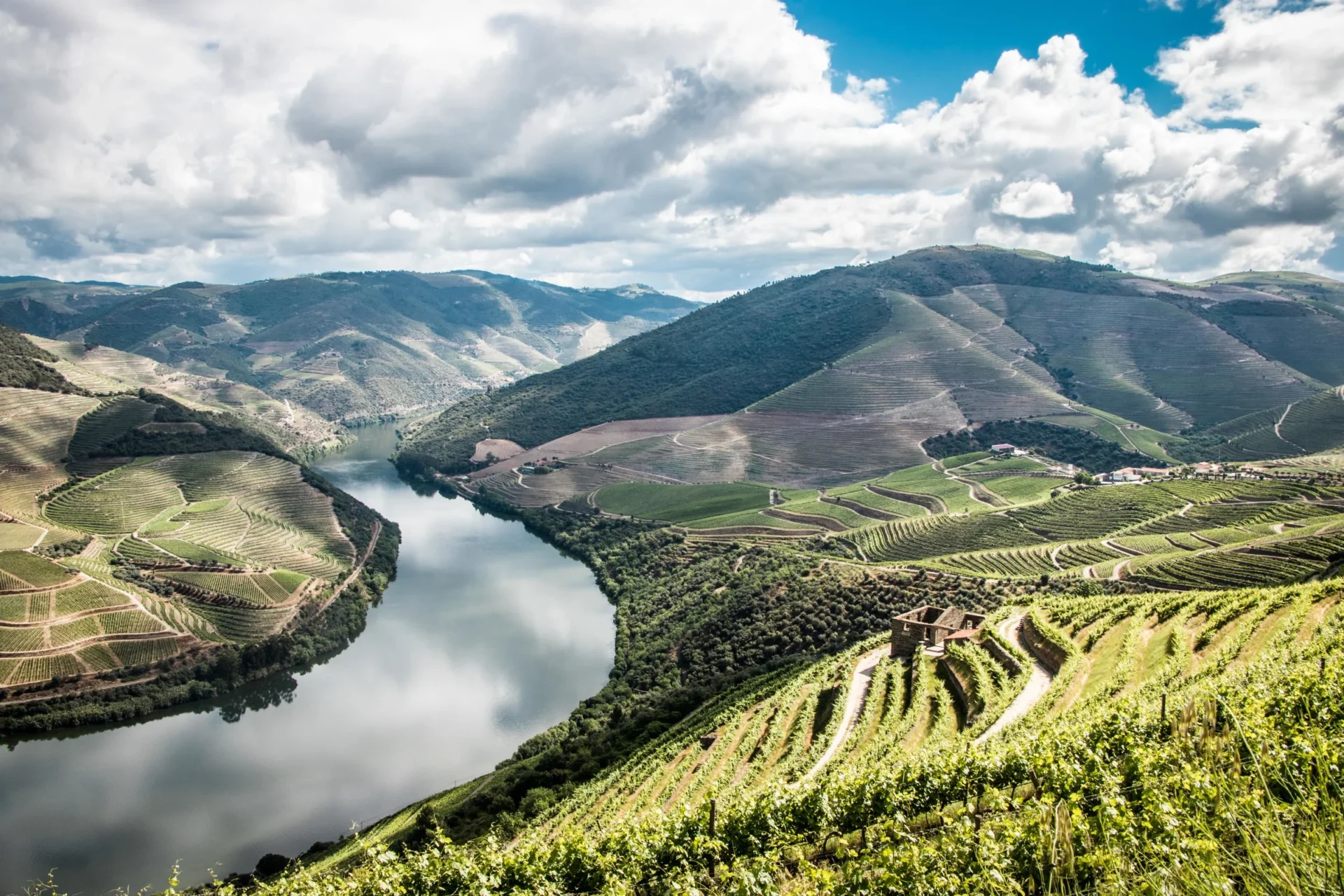 Quinta Das Carvalhas Pesqueira Douro