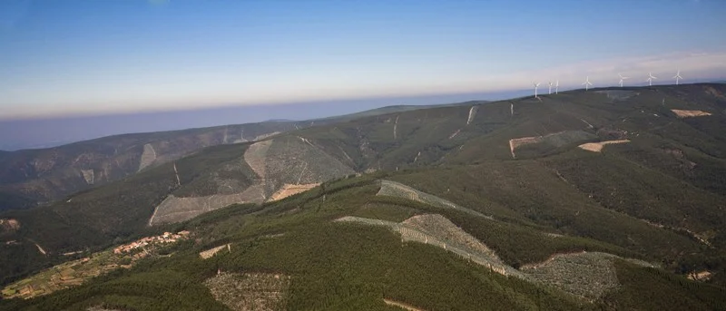 201207floresta0 1 980 2500