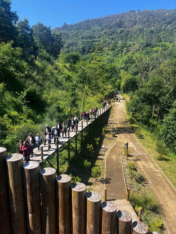 Cinfães
