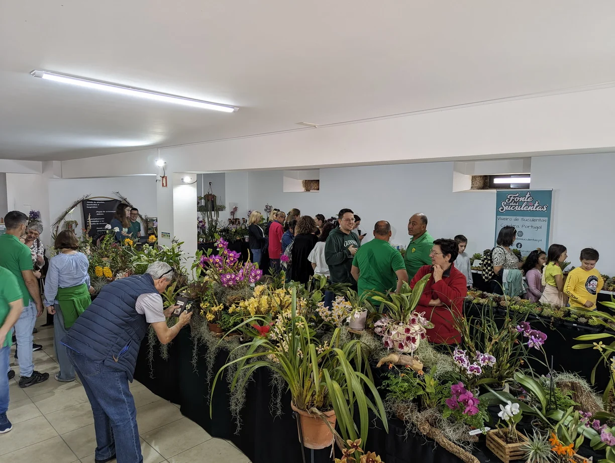 Exposição De Orquideas Viseu