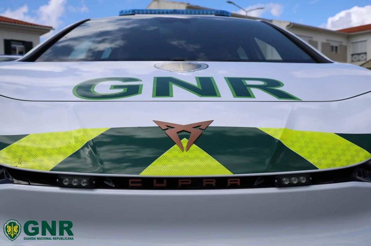 Gnr Viatura 2