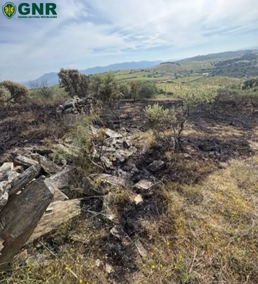 Incendio Foz Coa