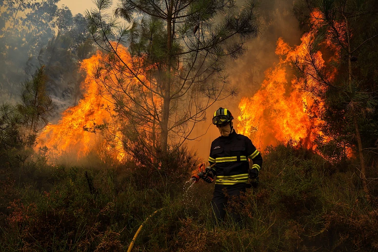 Incêndios Bomb