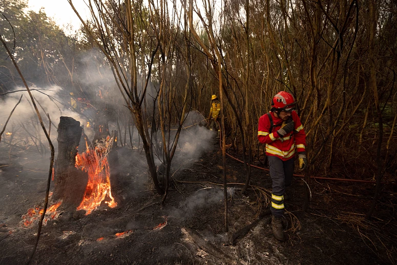 Incêndios Rurais