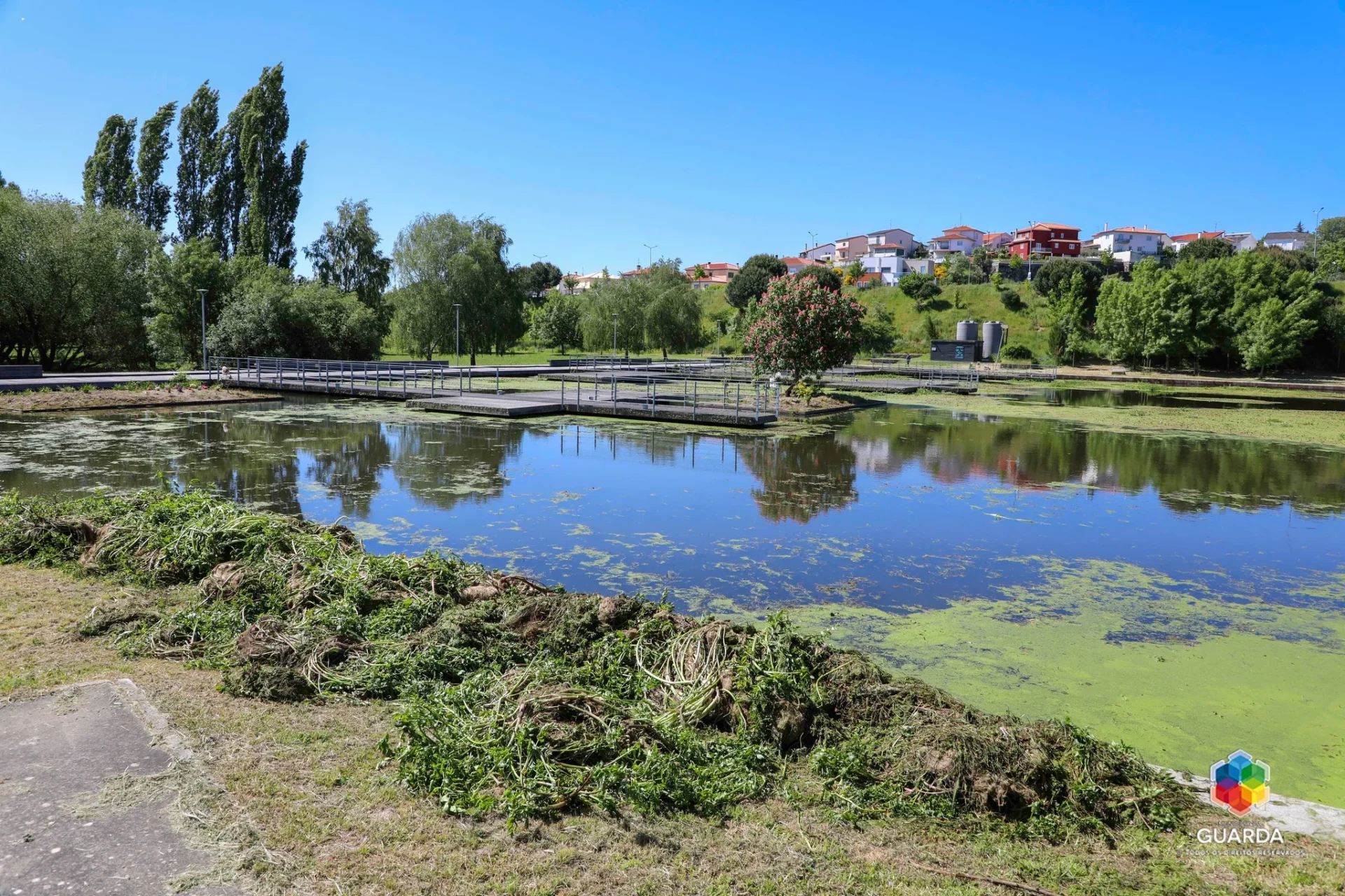 Lago Diz