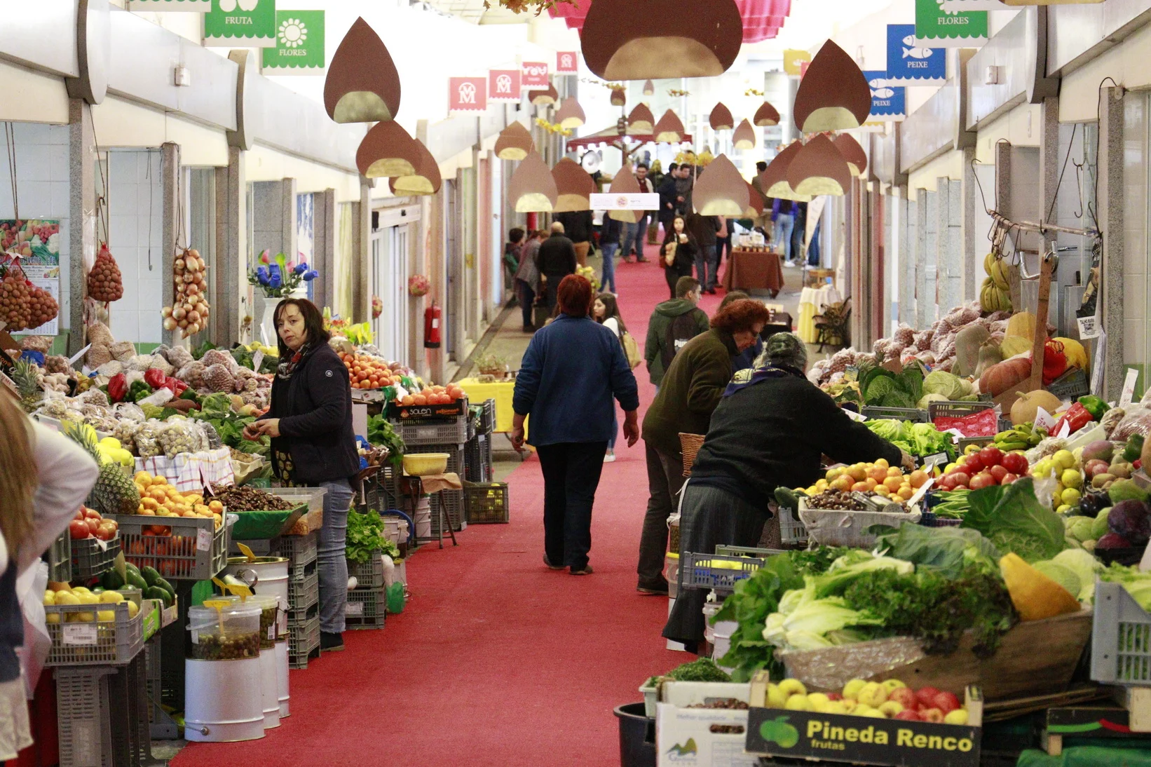 Mercado Municipal