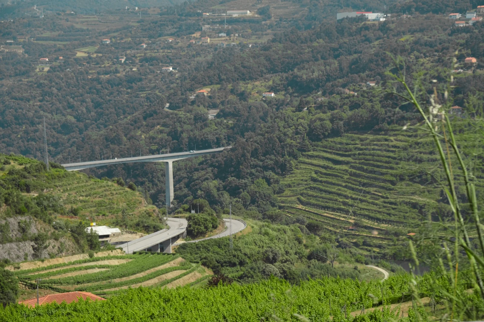 Ponte Ermida Lodao
