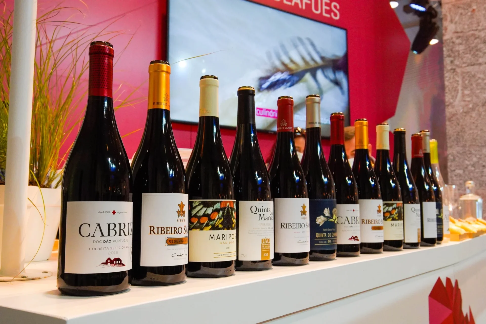 Vinhos Do Dao