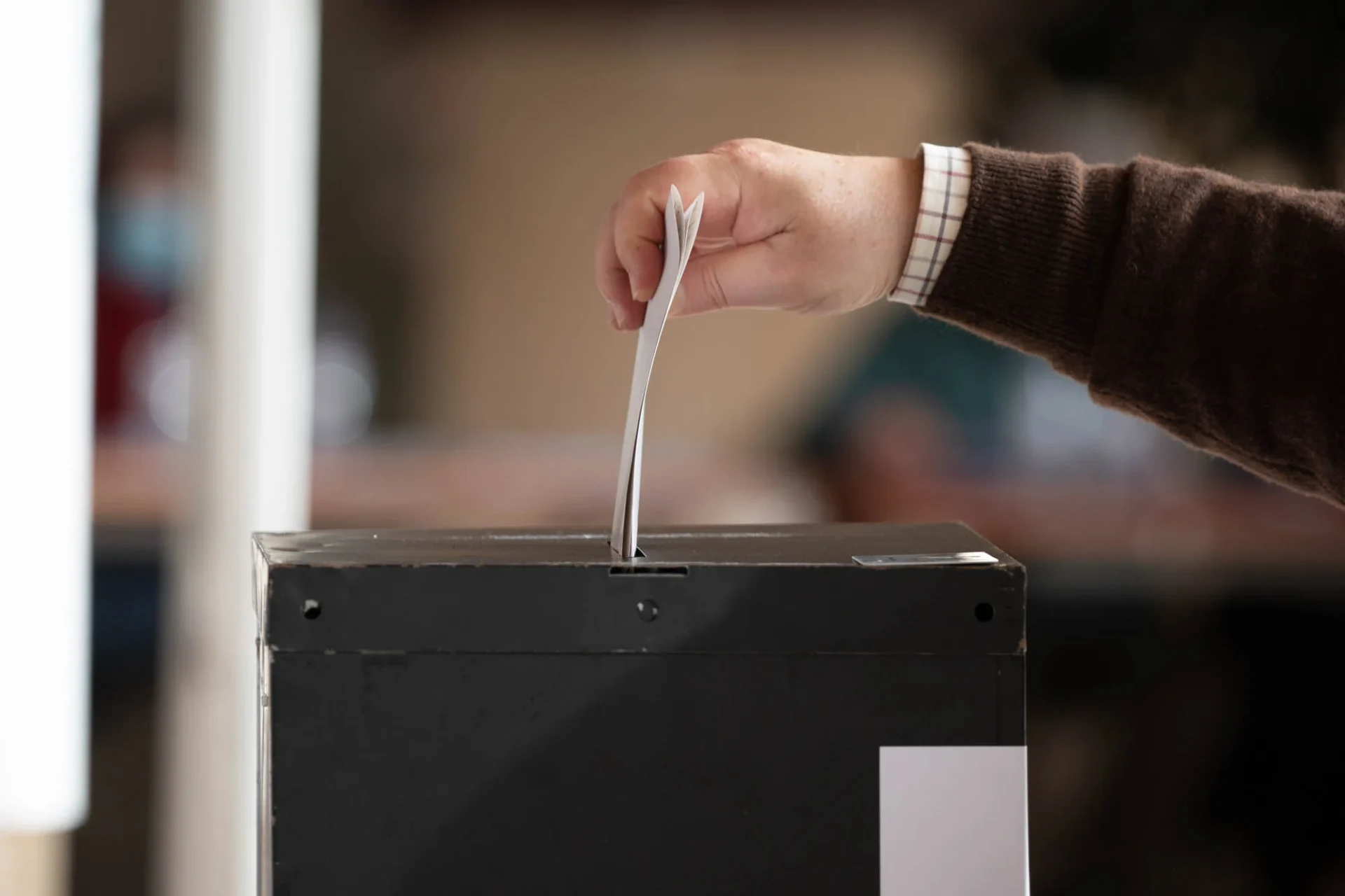 Votar