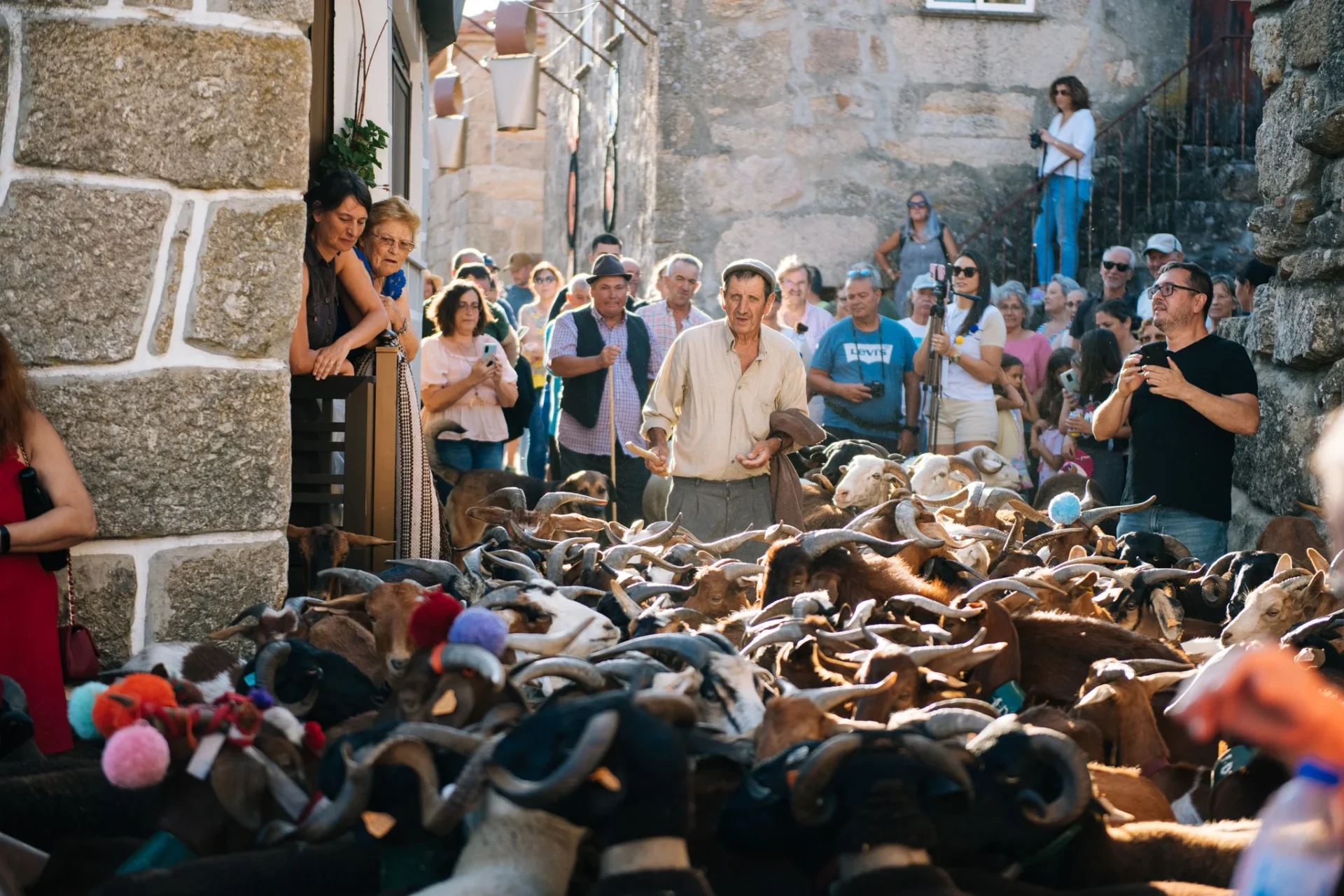 473231127 589912857001422 1025082872343248127 N