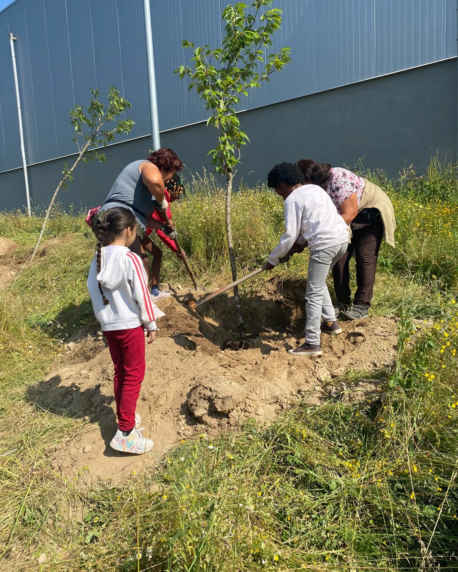 Alunos Plantas São Pedro Do Sul