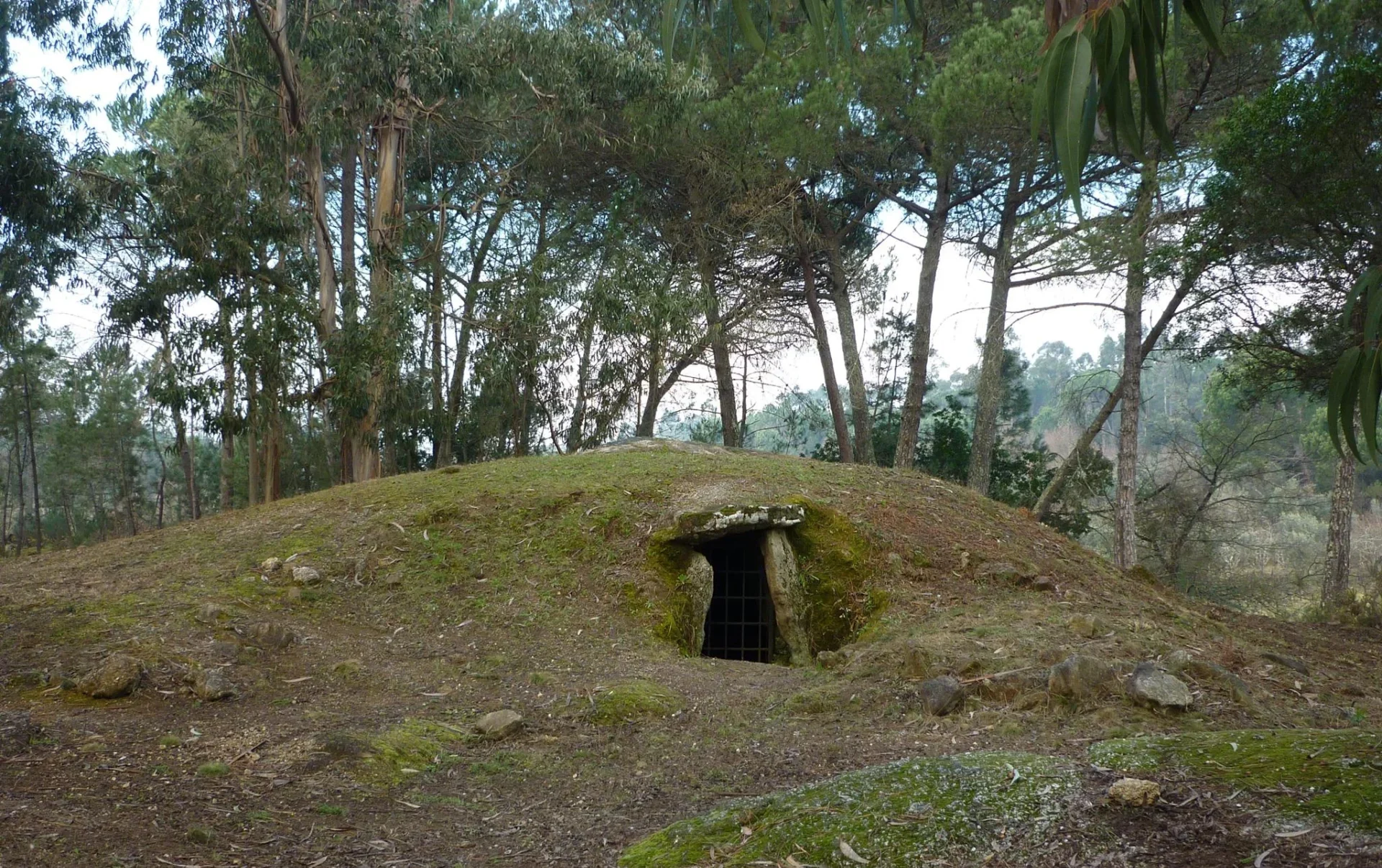 Arquinha Da Moura Tondela