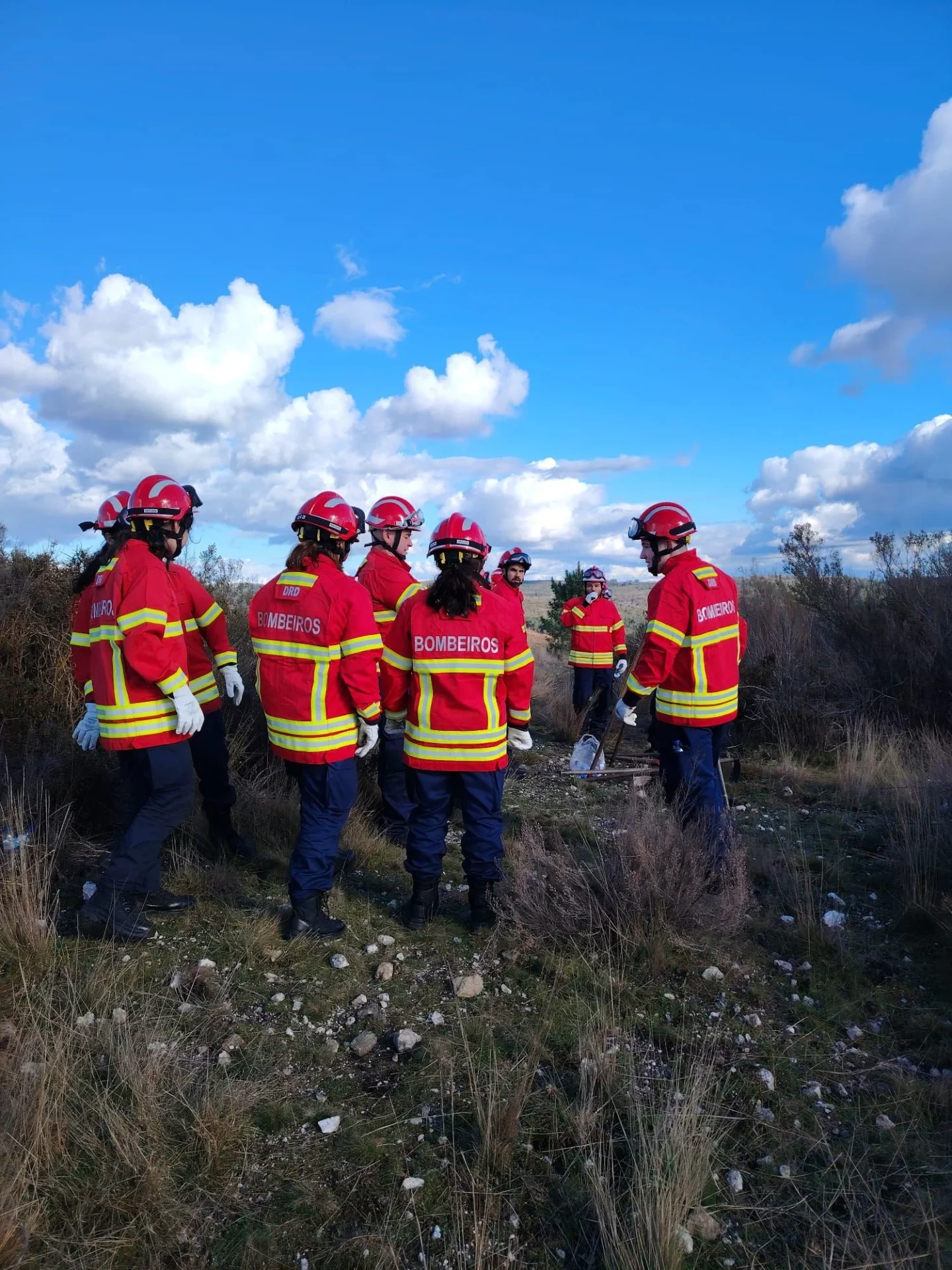 Bombeiros Castro Daire