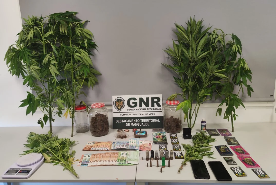 Gnr Viseu Detido Por Tráfico De Estupefacientes