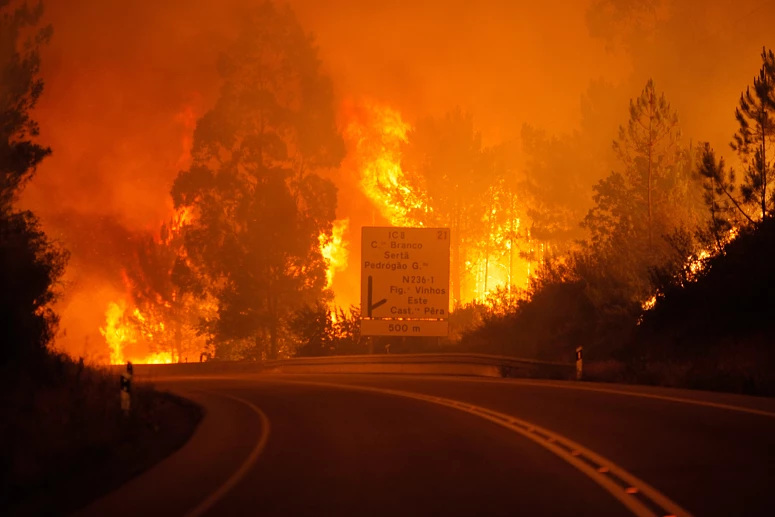 Incendio Pedrógão Grande