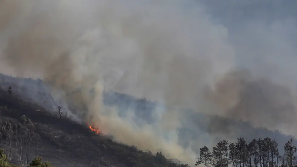 Incendio Terreno