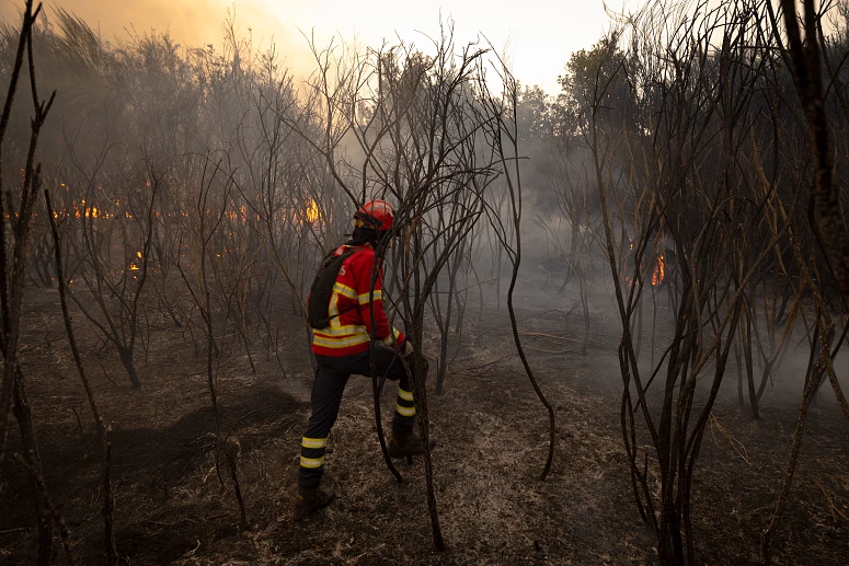 Incendios Alerta
