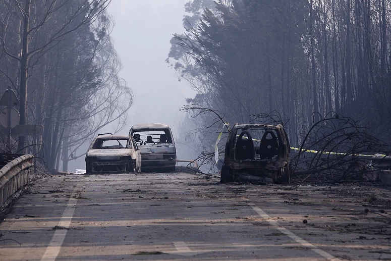 Incêndios Pdrogão