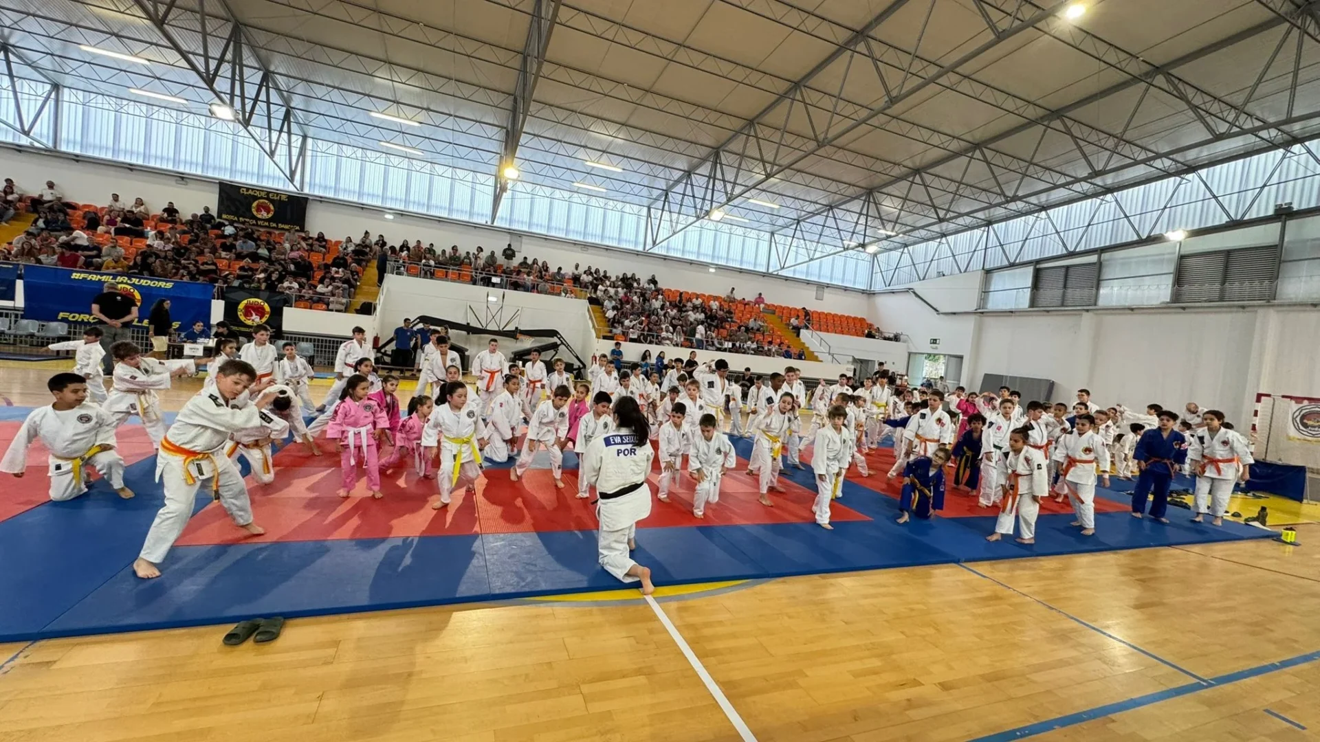 Judo Academia2