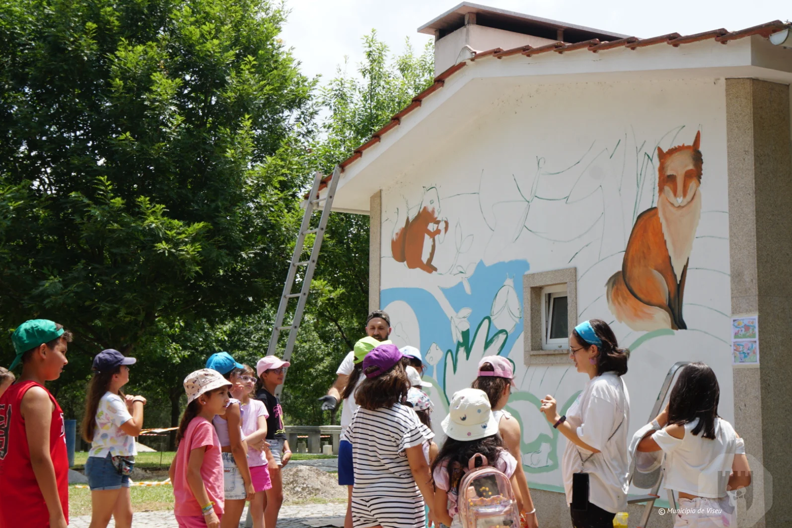 Viseu Menina Da Beira