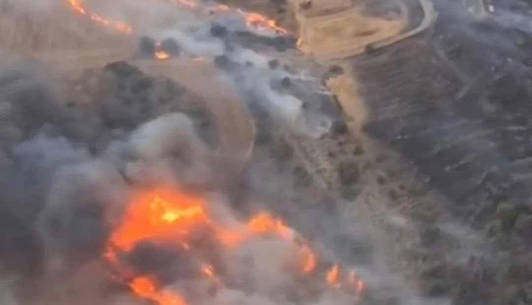 1jul2025 Incendio Atinge Floresta Em Torrefeta Na Provincia De Lleida Duas Pessoas Morreram 1751453362581 V2 1x1