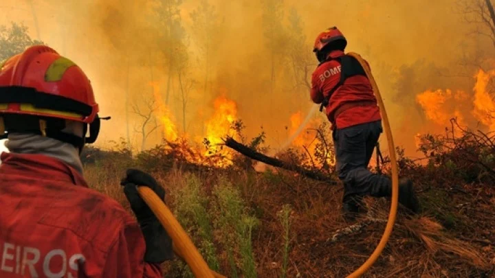 2013 Incendios Florestais Bombeiros