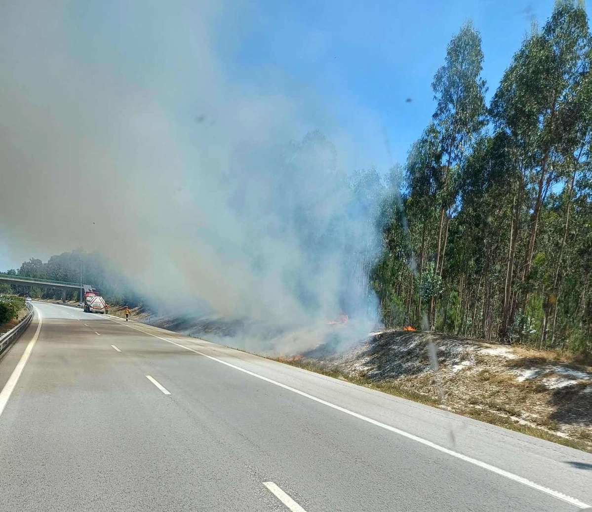 A1 Incendio Pombal