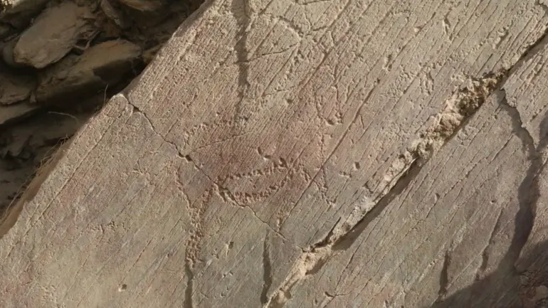 Arte Coa