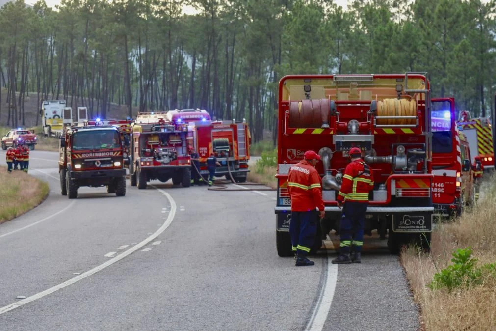 Despiste Bombeiros