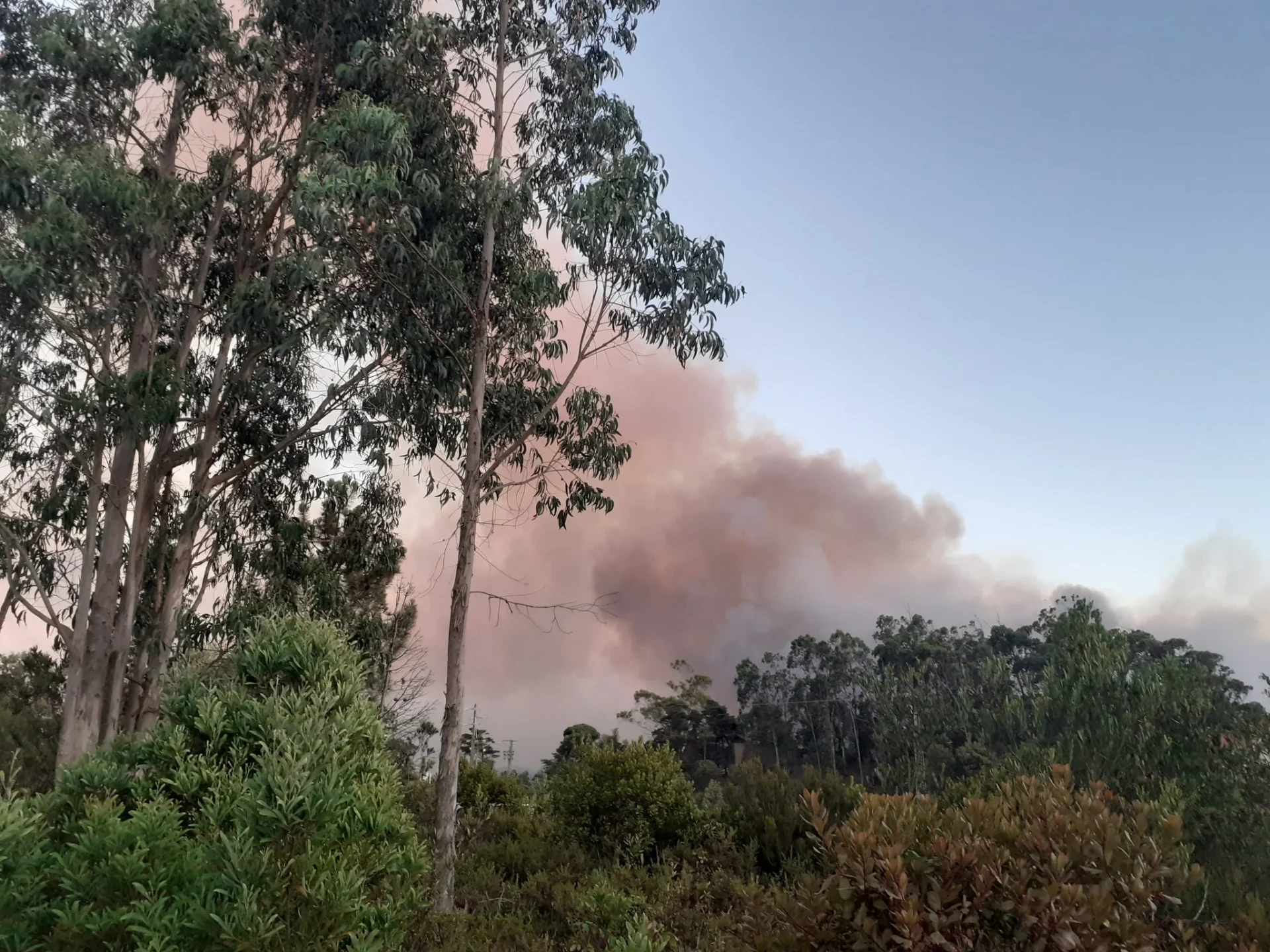 Fogo Incendio