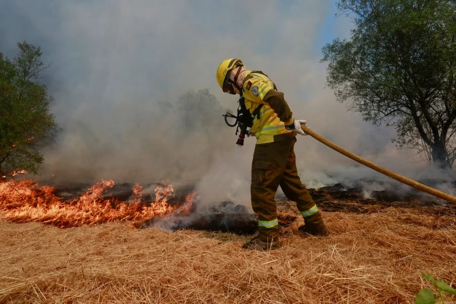 Fogos Portugal