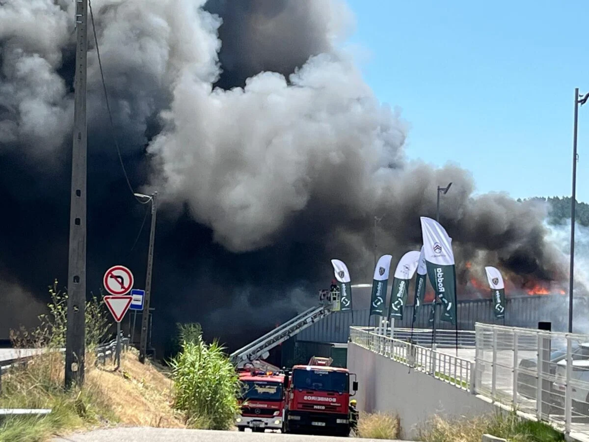 Incendio Coimbra