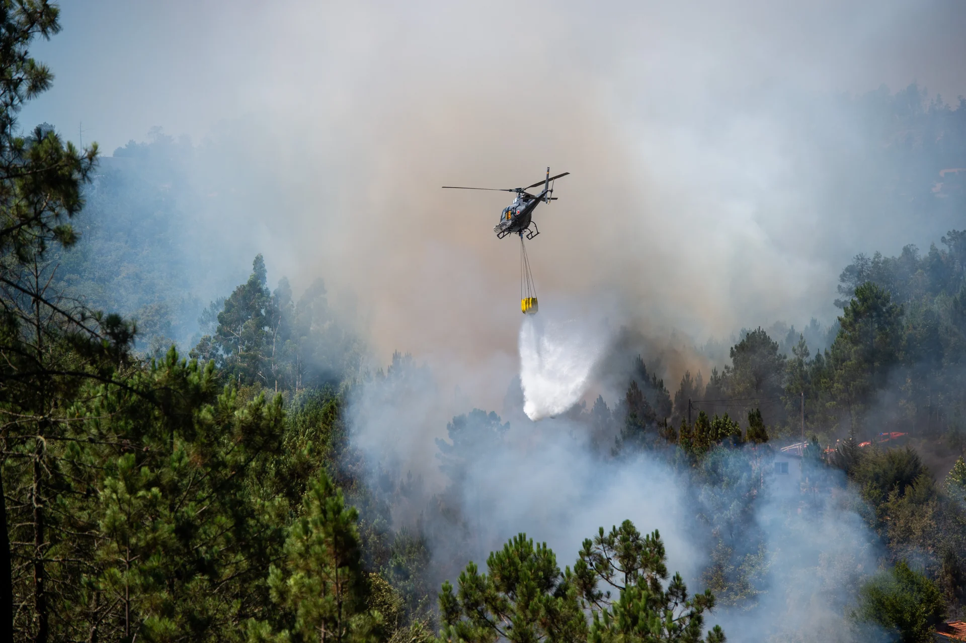 Incendio Lordosa Fogo Rui Da Cruz