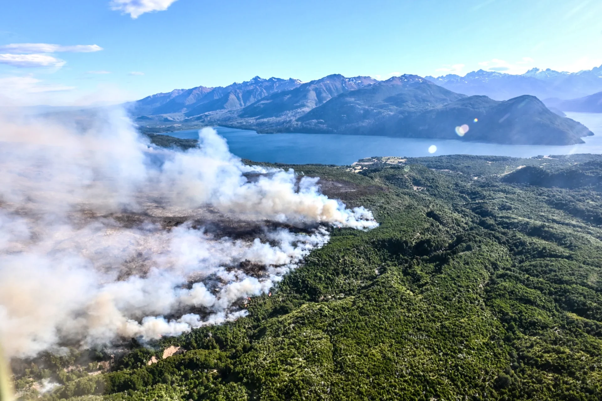Incendios Forestales En Los Bosques Patagonicos Scaled
