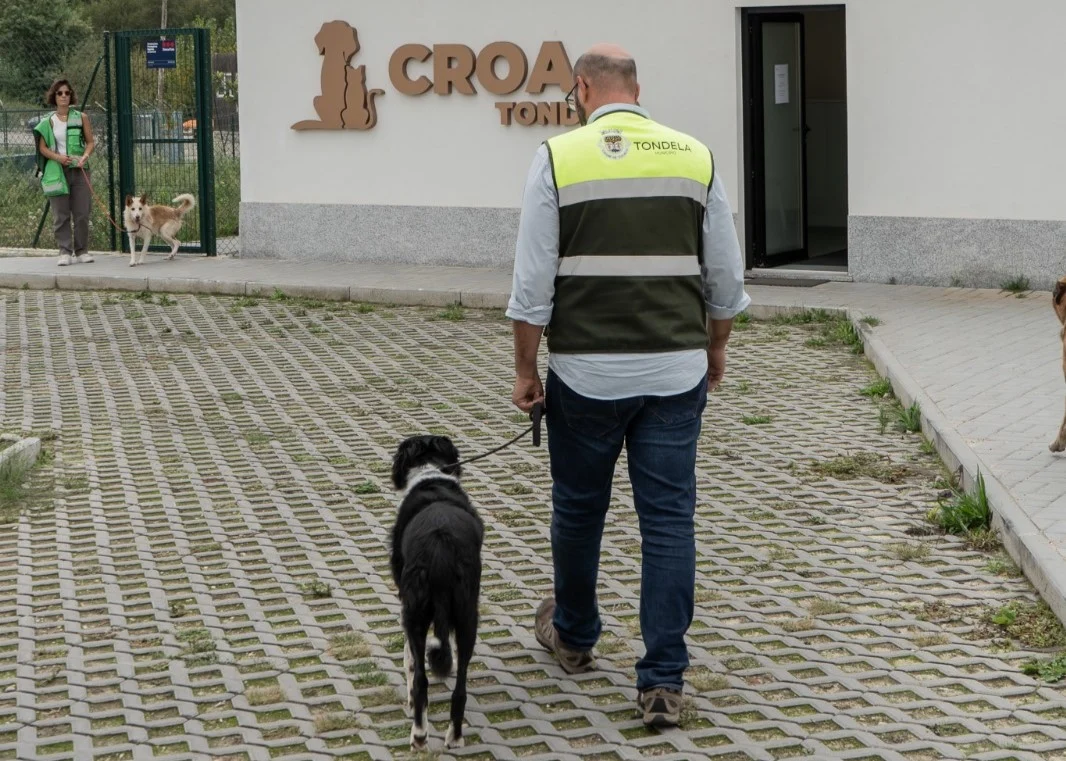 Animal Croa