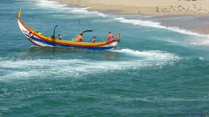 Barco De Arte Xávega